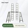 Sheng Tong Wei Dual Rotating Ladder Trainer