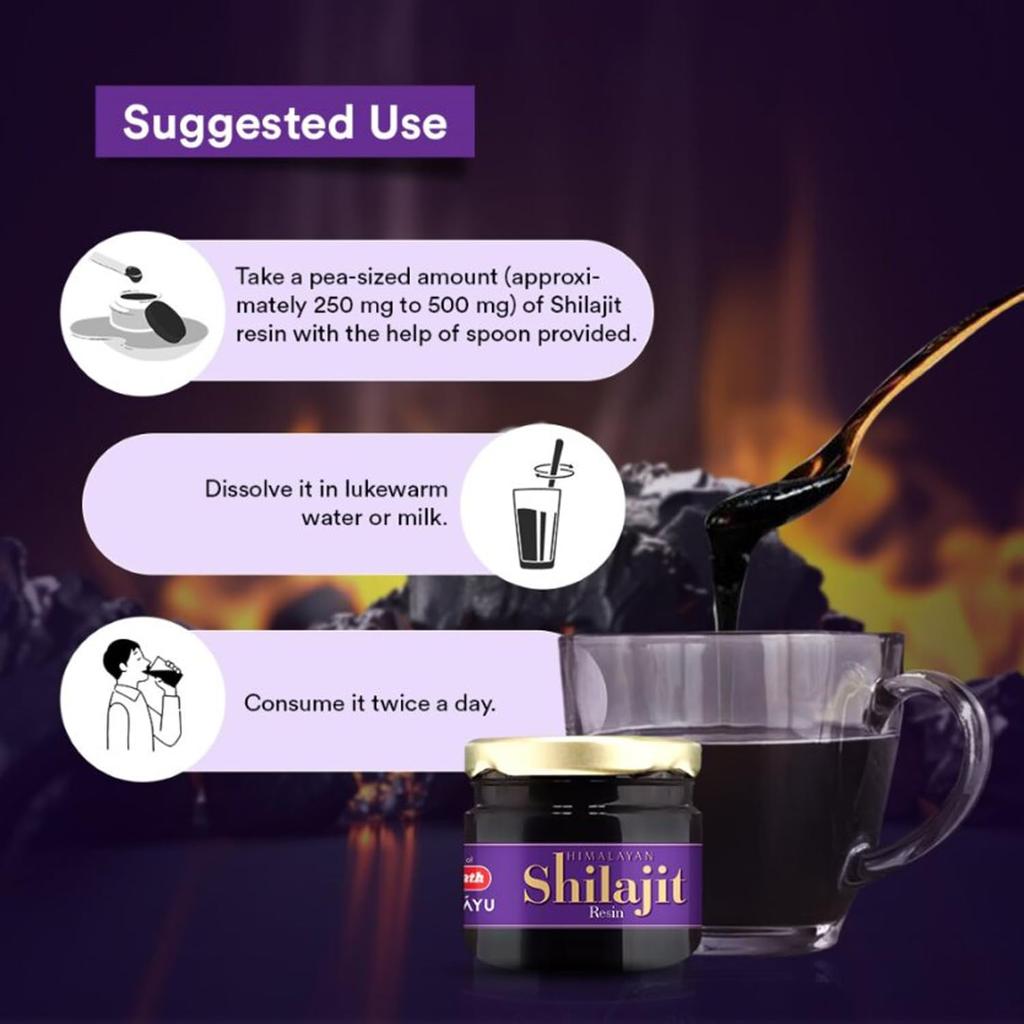 Baidyanath Asli Ayurved Himalayan Shilajit Resin 20Gm Pack Of 1 For Energy Stamina Performance