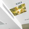Autumn Morning Quiet Forest Ceiling Bedroom Beautiful Home Beautification Stickers