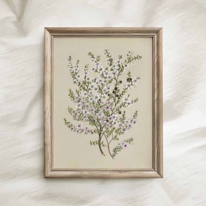 Vintage Beauty Style Botanical Flower Floral Gallery Art Poster Canvas Painting Wall Prints Picture for Living Room Home Decor