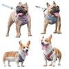 Reflective Harness and Lead 4 for and Large Dogs and Pet Nighttime Tote Bag Included XS Weight [DauStage] Set, Colors, Small, Medium, Cats, Supplies,