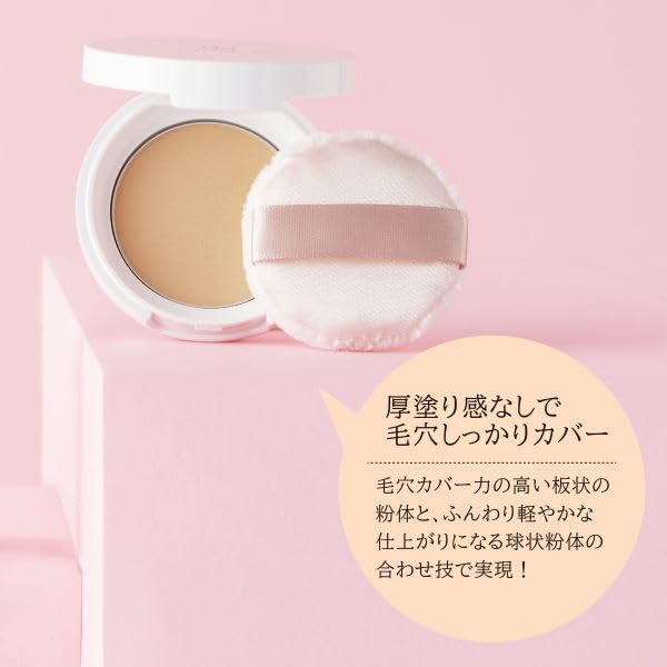 Point Magic PRO Pressed Powder C 10 Natural Ochre standard skin Foundation 6g (for tones) (x 1)