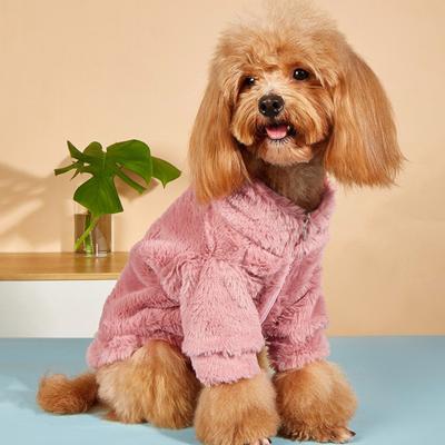 Giyim ve ayakkabı – Köpekler için kazaklar