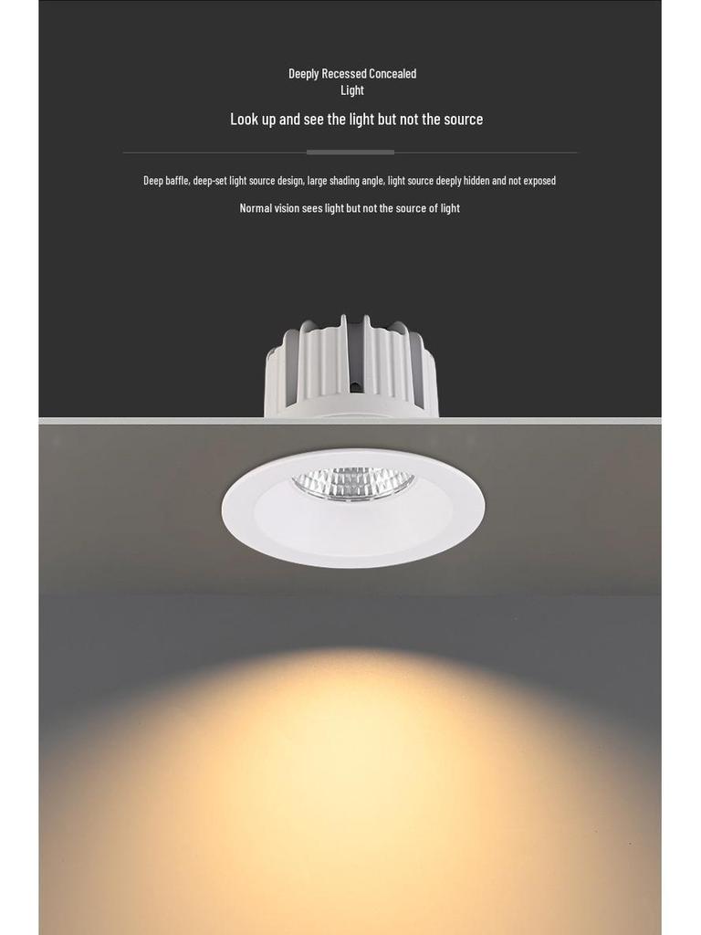 High Power COB Downlight 30W-100W Available
