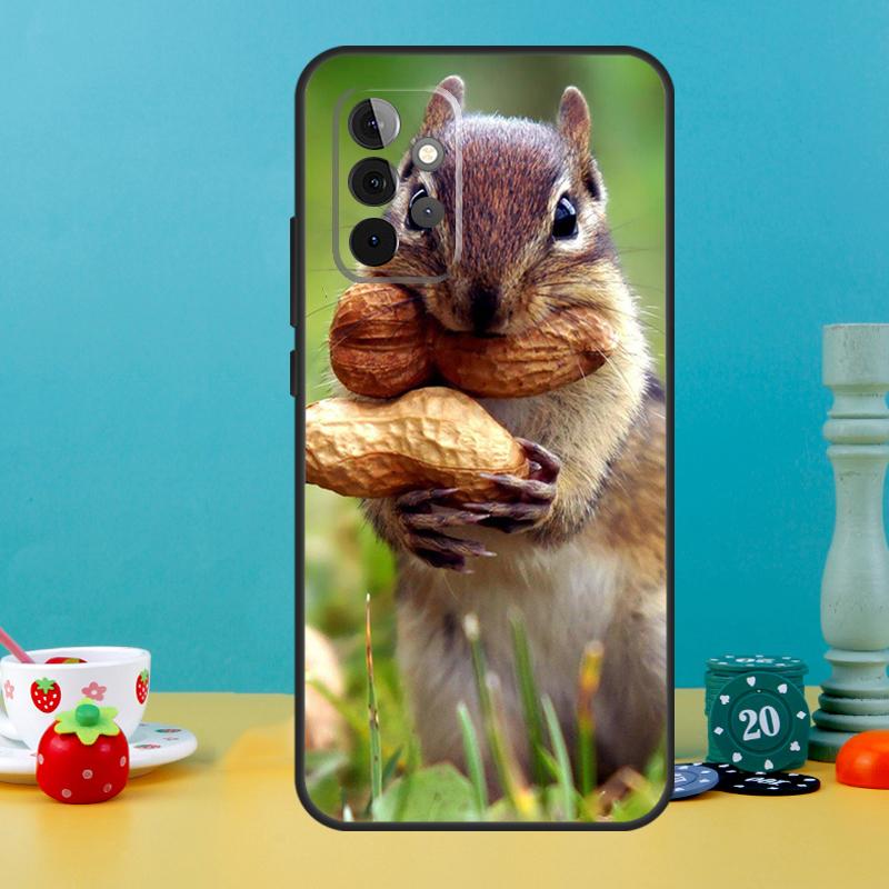 

Squirrel Cute Animals Case For Samsung Galaxy A05 A36 A56 A26 A16 A53 A33 A13 A12 A32 A52 A55 A35 A15 A54 A34 A14 Samsung A36