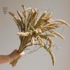 High-End Wabi-Sabi Dried Flower Decor: Natural Reeds & Wheat for Living Room or Homestay.