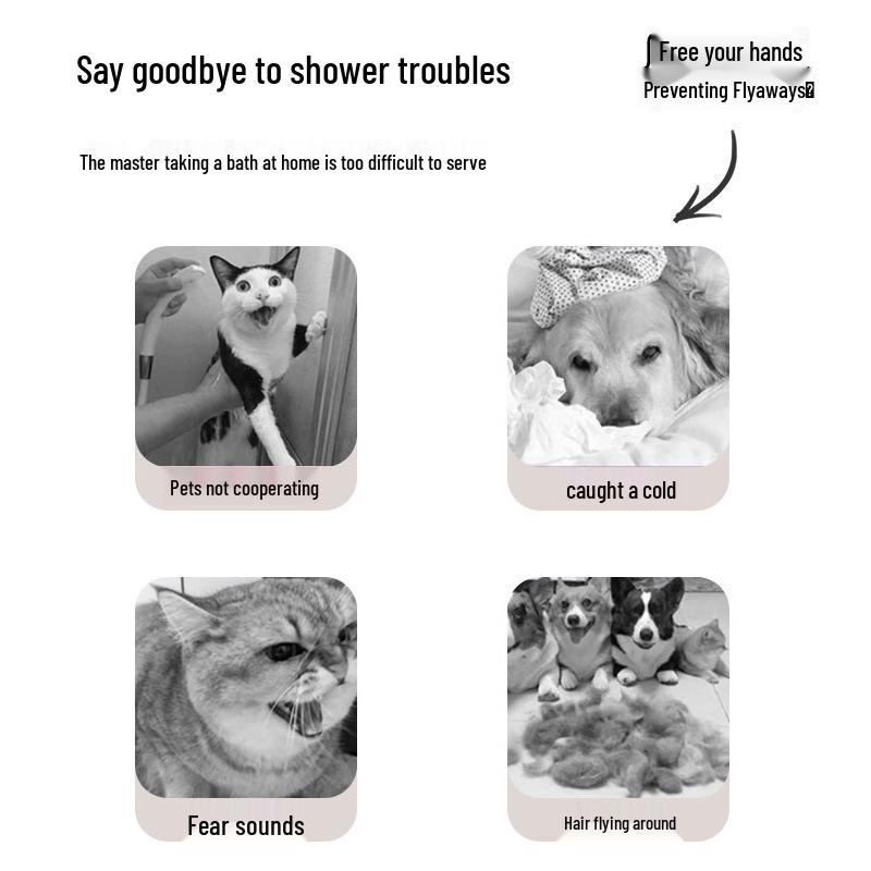 Teddy Corgi Pet Hair Dryer Box - Automatic Silent Drying Bag for Cats & Dogs