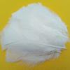 100pcs Flat Fluffy Colorful Turkey/Chicken FeathersDiy Pheasant Plume for Needlework Decor Clothes Handicraft Accessories10-18cm