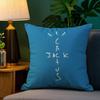 Cool CCactus Jack Pillow Case Plush Fabric Soft Double Sided Print Sofa Cushion Cover Throw Pillow Covers