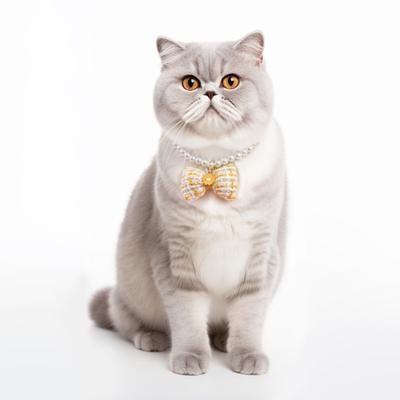 Pet Collar Faux Pearl Pet Necklace with Bow Decorations Adjustable Cat Neck Circle Princess Jewelry Pet Supplies