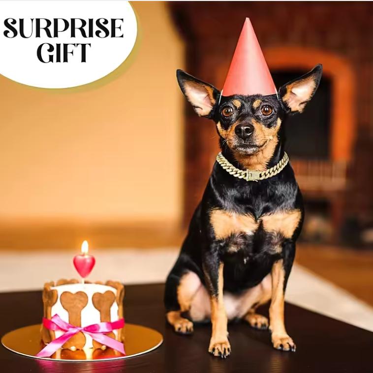 Dog Chain Collar Luxury Gold Pet Metal Chain Collar For Small Medium Large Dogs Cats Pet Jewelry Necklace Accessorie