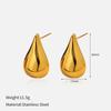 Europe United States Hot New Luxury High-End Stainless Steel Geometric Shape Earrings Multi-Style Fashion Hoop Earings