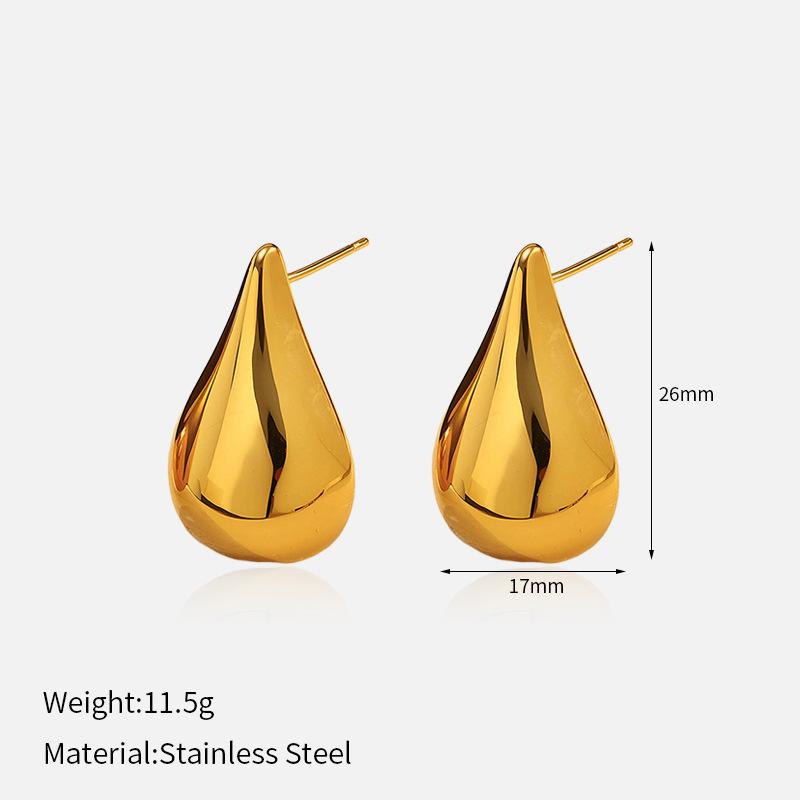 Europe United States Hot New Luxury High-End Stainless Steel Geometric Shape Earrings Multi-Style Fashion Hoop Earings