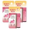 Hibiscus Burt's Bees Tinted Lip Balm 4.25g 3 Pcs