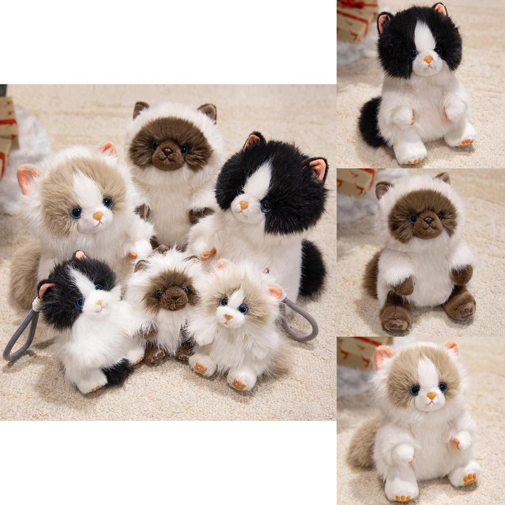 Aromatherapy Cat Plush Doll With Long Hair For Kids And Adults As Gift Or Decor