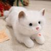 Fluffy Ragdoll Cat Plush Doll Soft Simulated Kitten Model New Simulation Cat Plush Toys  Kids