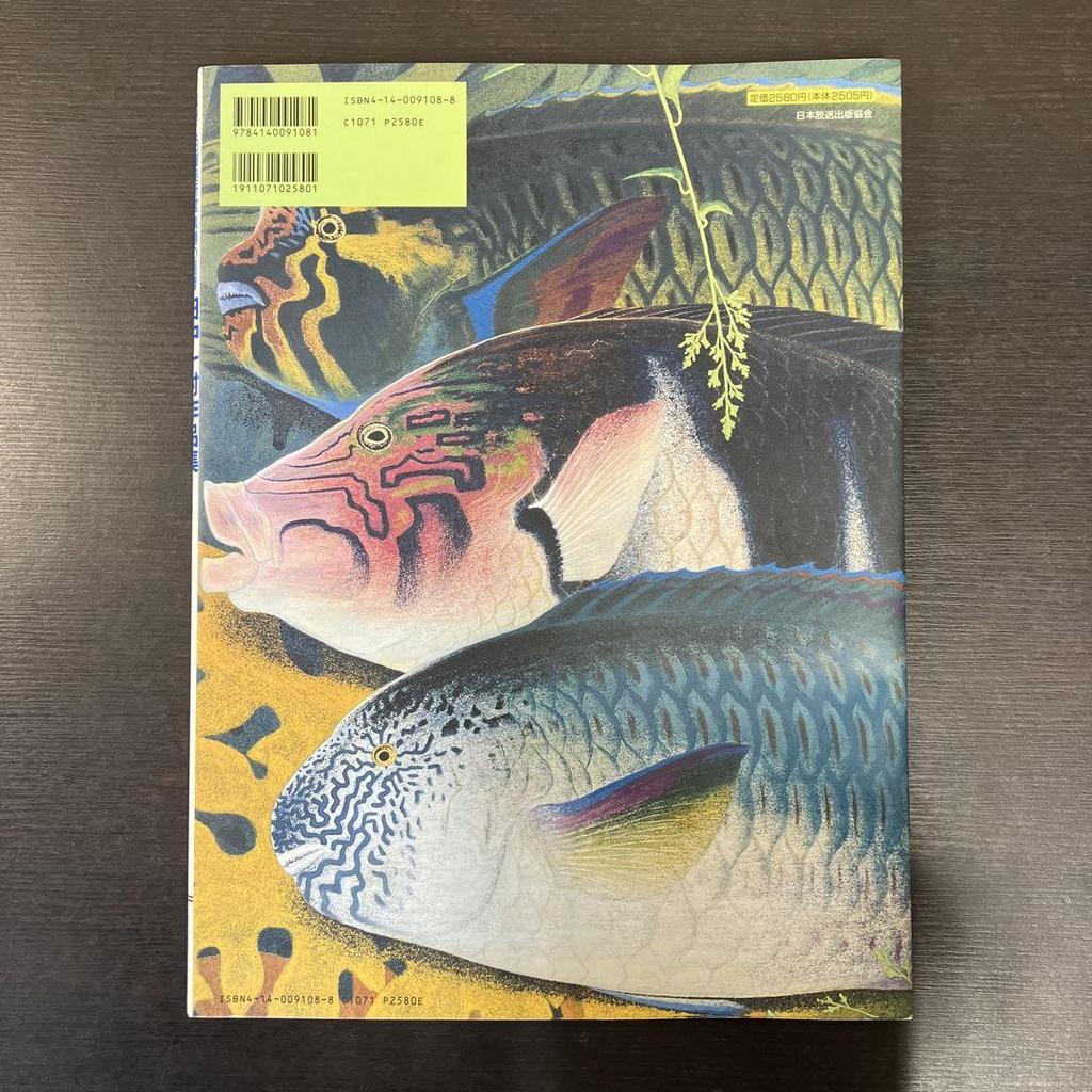 [USED] Tanaka Isson Works Collection NHK Sunday Art Museum "Kuroshio no Gafu" Tanaka Isson Japan Broadcasting Publishing Association Art