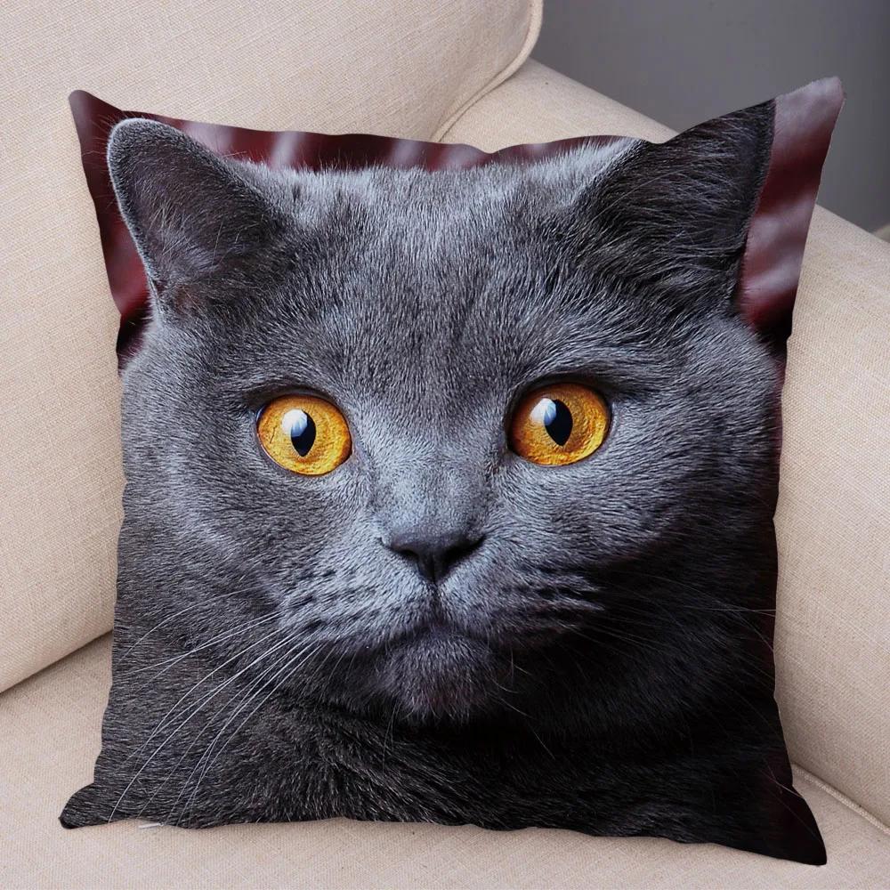 Russian Blue British Shorthair Cushion Cover Decor Cute Cat Pet Animal Pillowcase Soft Plush Pillow Case for Car Sofa Home
