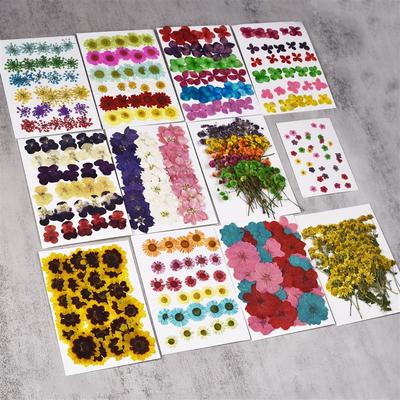 30 Pieces/Pack Dried Flowers Dry Plants For Rsein Molds Fillings Epoxy Resin Craft DIY Nail Art Decoration Pressed Flowers
