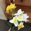 Real Touch Artificial Narcissus Flowers Lifelike Artificial Bouquet  Home Decoration