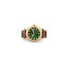 Enriva Diver's Watch Automatic 20ATM Date Display Bronze Sapphire Men's Wristwatch