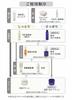 Hashikata Skin Care Pack of 10 Cosmetics' Soap, 100g,