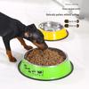 Stainless Steel Non-Slip Pet Bowl for Cats & Dogs