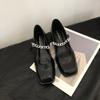 Coarse Heel French Evening Breeze Retro Square Head Mary Jane Single Shoes Women's Shoes 2025 New Black Commuter Work Shoes