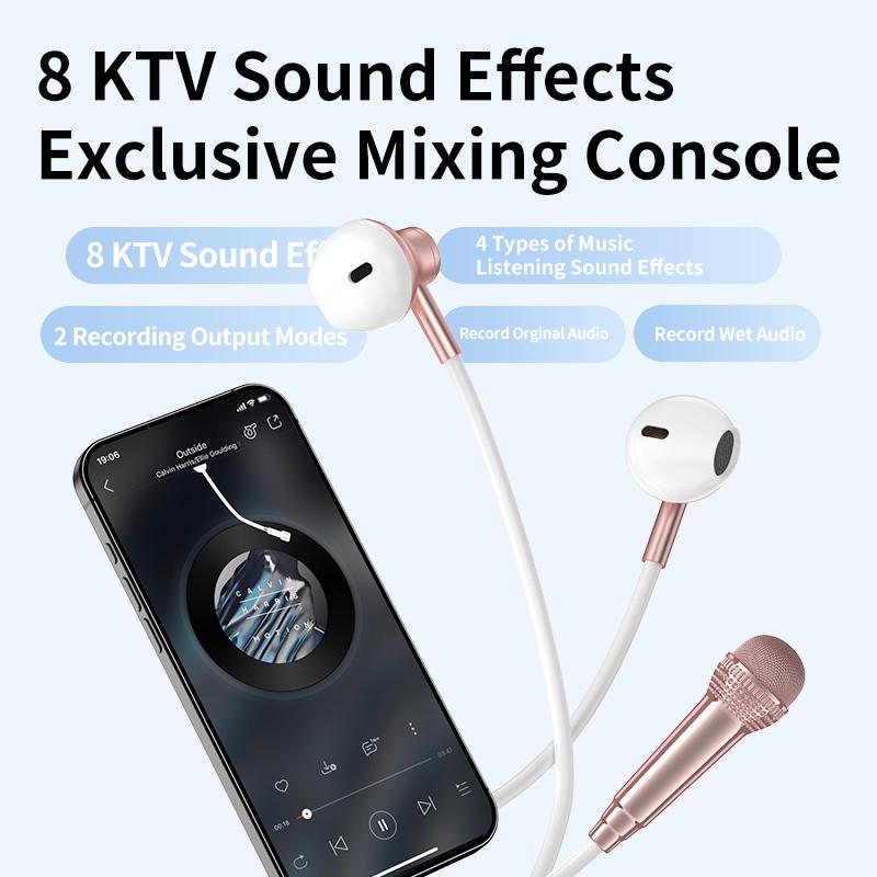 Type-C For Live Broadcast Karaoke Earphones With Sound Card Headphones With 2 HD Mic In-ear Surround Sound Headsets for Samsung