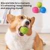 Dog Squeaky Ball Toy Interactive TPR Ball Chew Toy for Aggressive Chewers Puppy Teeth Cleaning Toy for Large Small Dogs