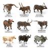 Realistic Pvc Texas Longhorn Bull And Vatuzi Cow Model For Collectors And Decor
