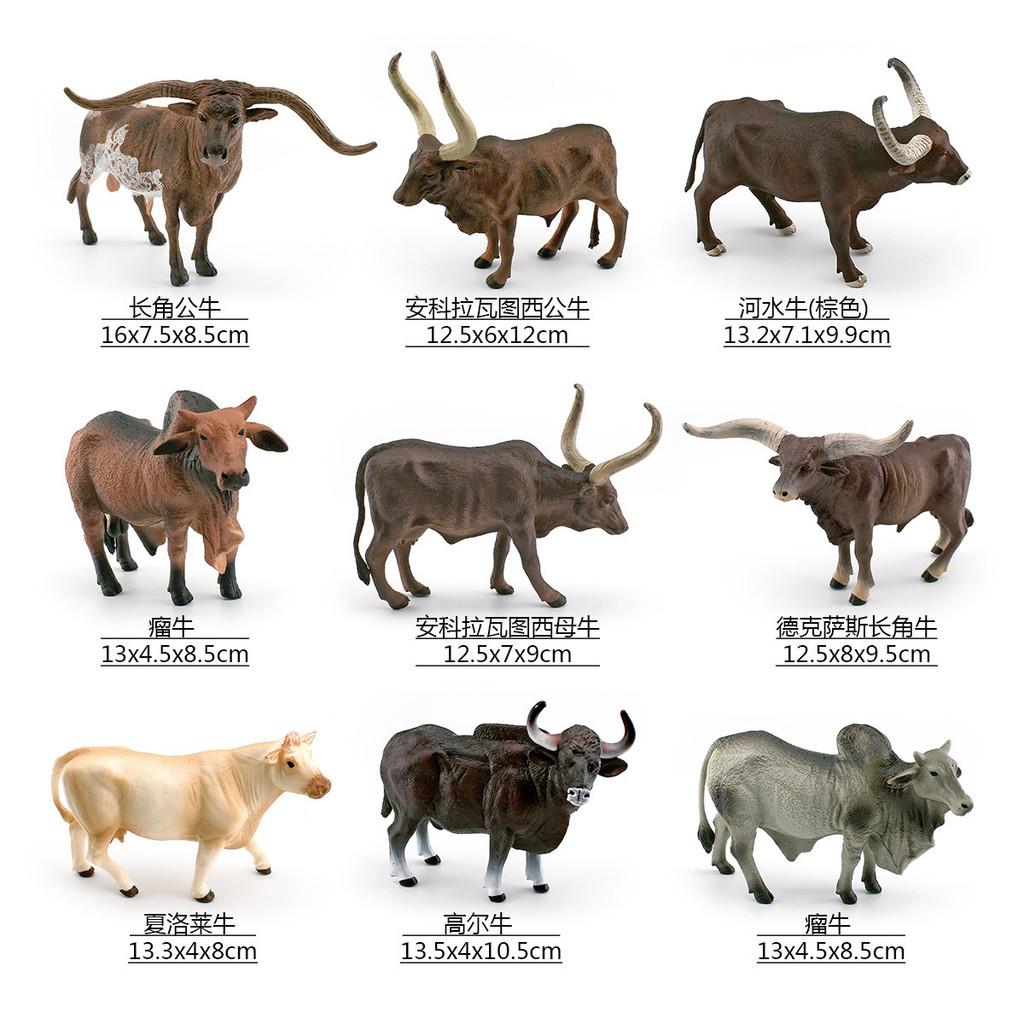 Realistic Pvc Texas Longhorn Bull And Vatuzi Cow Model For Collectors And Decor