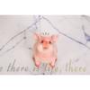 Piggy Banks,Unbreakable Pig Coin Box for Kids,Cute Animal Money Banks Birthday Gift for Boys Girls,Coin Saving Boxes