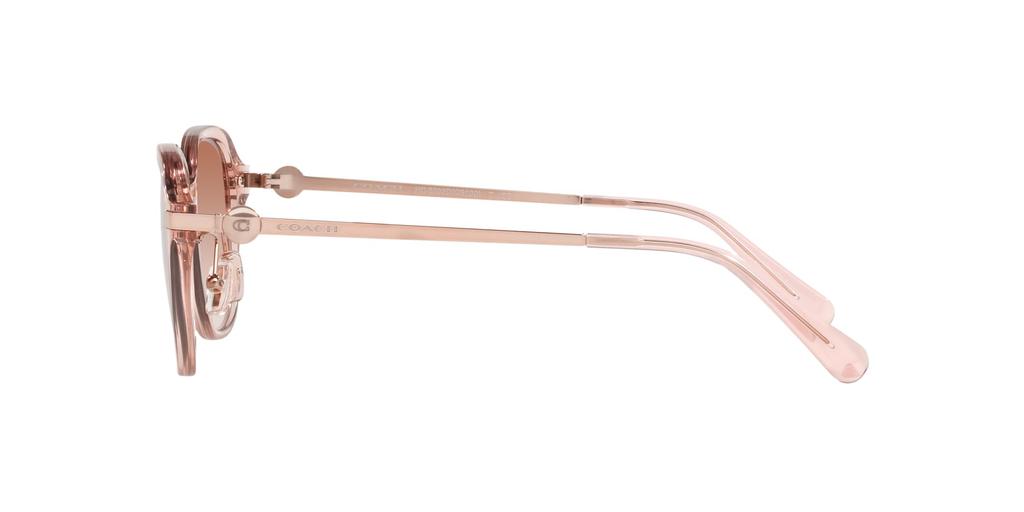 Coach HC8332D Transparent Pink Size 56 Women's Sunglasses,