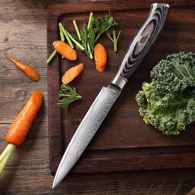 5Inch 67 Layers Damascus Steel Utility Knife Fruit Knife Sushi Knife Kitchen Vegetables Cutting Knives