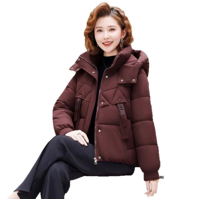 Hooded Cotton-padded Clothes New Winter Small Thickened Cotton-padded Jackets Warm Cotton-padded Jackets Women