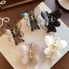 French Butterfly Hair Clip Female High-end Sense of New Large Shark Clip Back of The Head Plate Hairpin Hair Accessories Summer