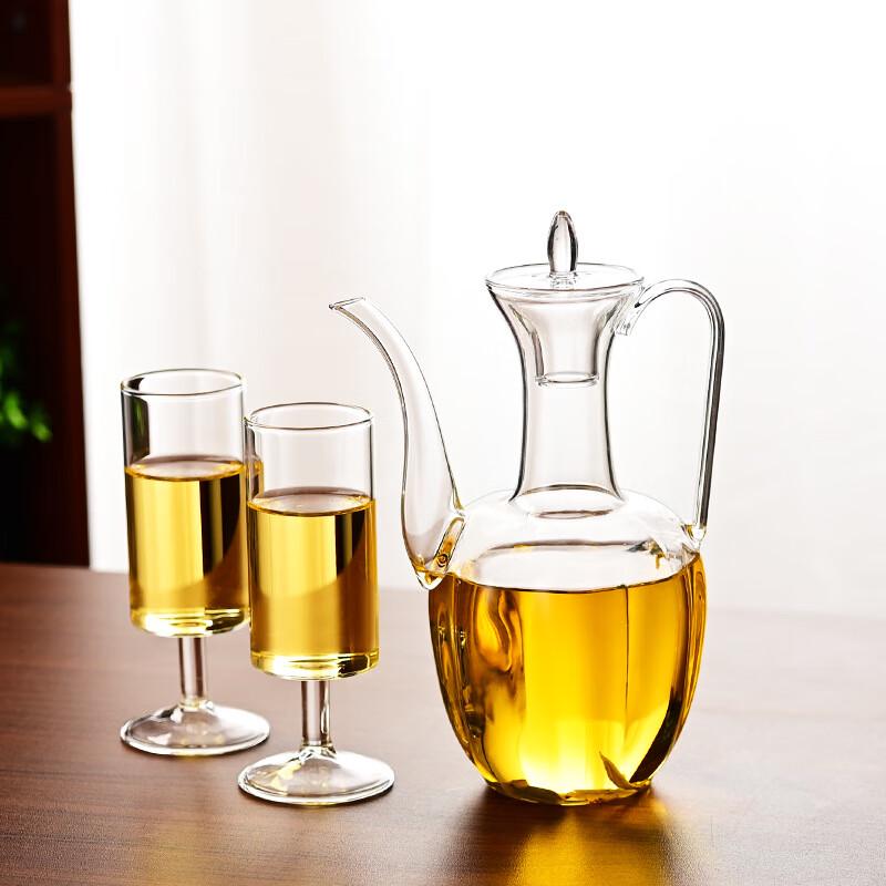 Heat-Resistant Glass Teapot Set with Filter