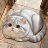 Diatomaceous Earth 3D Cat Floor Mat 45×60CM Bedroom Door Rug Creativity Bathroom Carpet  Home Decor