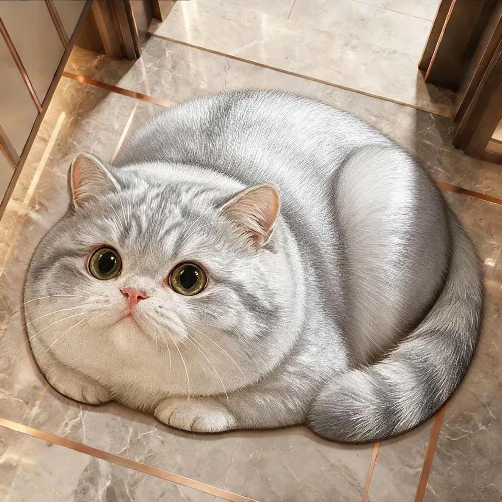 Diatomaceous Earth 3D Cat Floor Mat 45×60CM Bedroom Door Rug Creativity Bathroom Carpet Home Decor