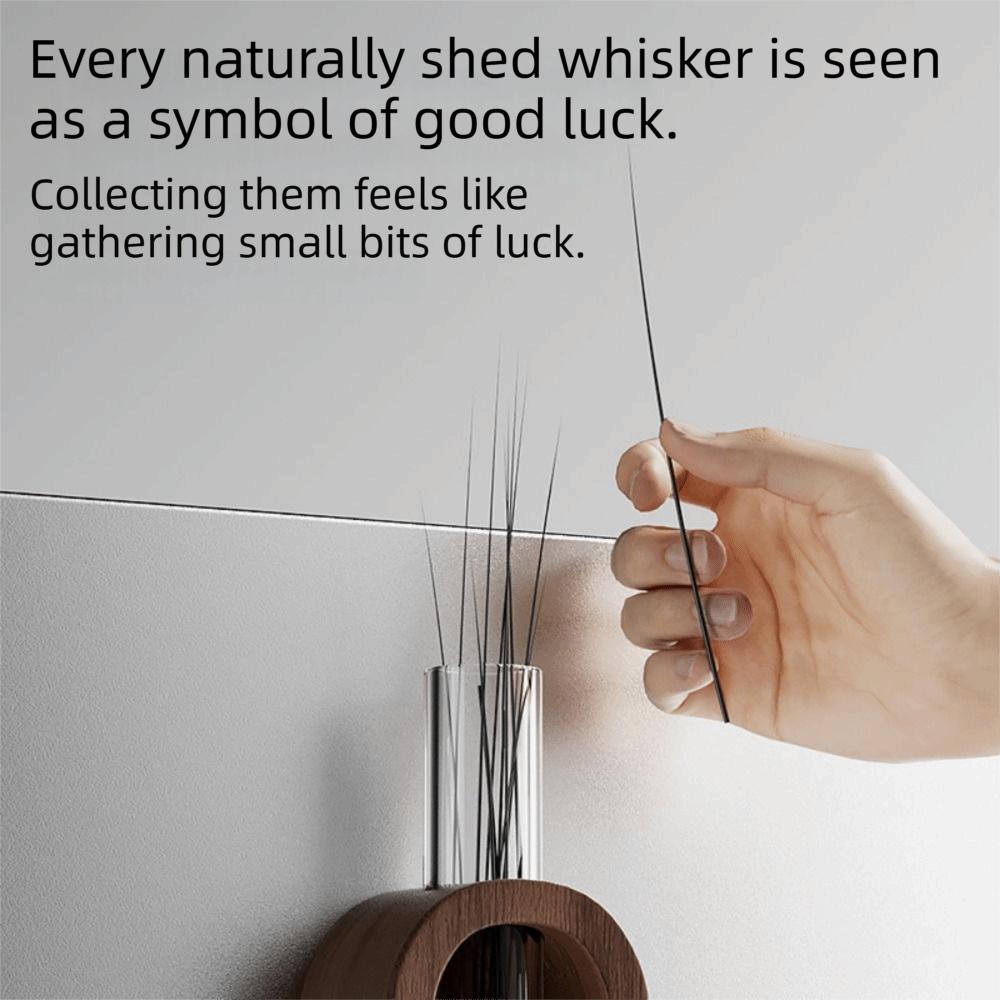 Wooden Base Cat Hair Jar Compact Size Clear Tube Beard Storage Box Minimalist Decorative Beard Collection Bottle Farmhouse Decor