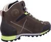 Обувь для треккинга Dolomite 54 Hike Evo GTX mud green/green