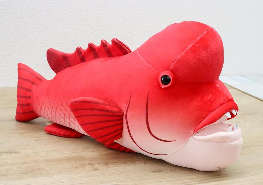 Takeoff Sea and Fish Asian Sheepshead Wrasse