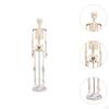 Human Body Skeleton Model Science Supplies Removable Skull Cap Rotatable Arm Teaching Aid