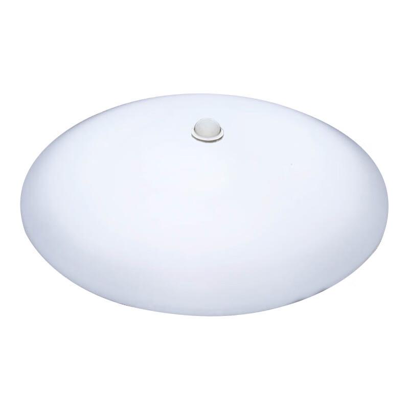 LED Motion Sensor Round Ceiling Light