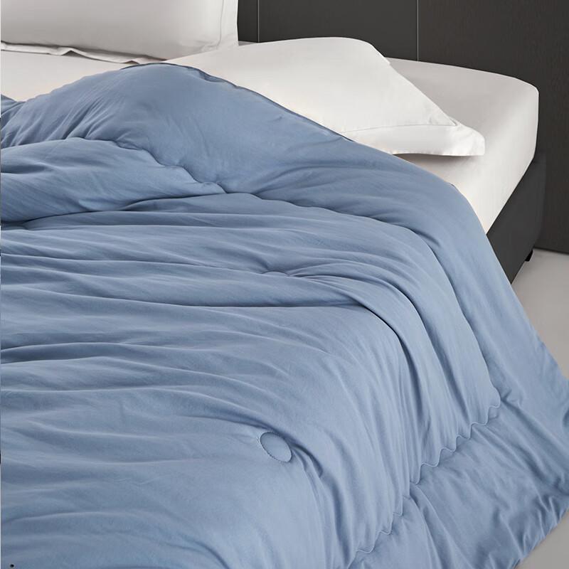 Tangna Elegant Soft Cloud All-Season Quilt