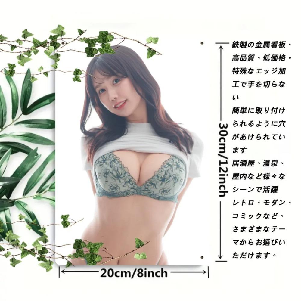 Vintage Japanese Metal Sign 8x12 Inch Iron Wall Art Decor for Home Office Garage