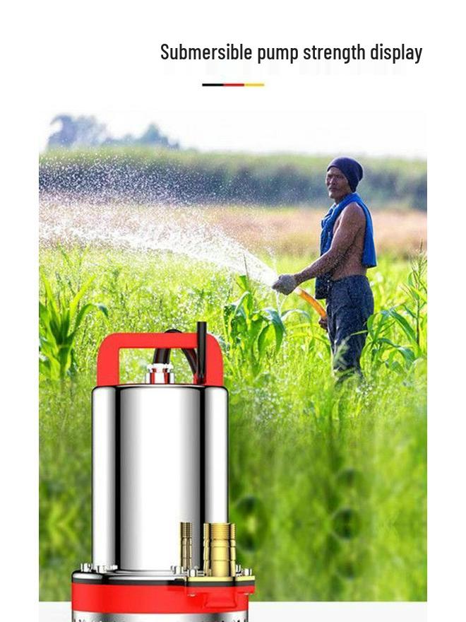 DC Submersible Water Pump for Vegetables and Farming, Compatible with 12V-60V Battery or Electric Vehicle