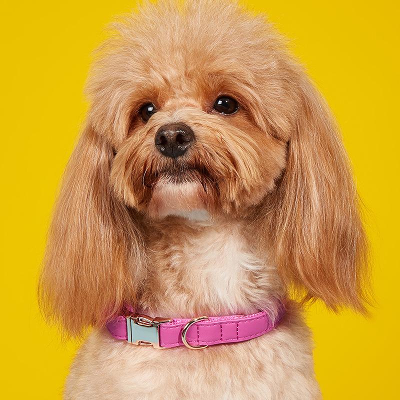 Dog Collar Candy Color Retro Cat Collar Small and Medium Dog Pet Dog Collar