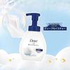 Dove Purifying Softening Foaming Hand Wash, 240ml, 10-Pack